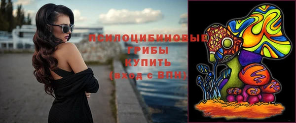 хмурый Зерноград