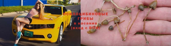 хмурый Зерноград