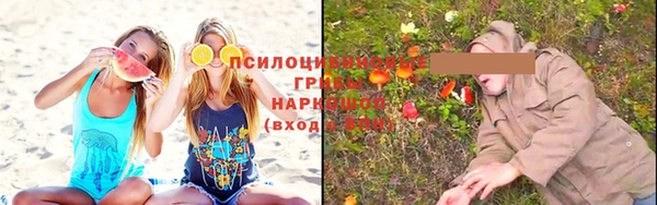 хмурый Зерноград